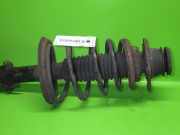 Federbein vorne rechts FIAT PALIO Weekend (178_) 1.2 0046738456