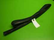 Türgummi Türdichtung hinten rechts FIAT PANDA (169_) 1.2