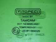 Türscheibe rechts FIAT QUBO (225) 1.3 D Multijet