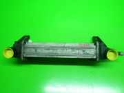 Ladeluftkühler FORD TRANSIT CONNECT (P65_, P70_, P80_) 1.8 TDCi 2T10-9L4470-AC