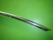 Dachzierleiste rechts TESLA MODEL 3 (5YJ3) EV AWD