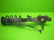 Federbein vorne links FORD FOCUS II (DA_) 2.0