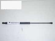 Gasdruckfeder Dämpfer hinten links FIAT GRANDE PUNTO (199_) 1.2 0051778432