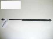 Gasdruckfeder Dämpfer hinten rechts FORD SIERRA Schrägheck (GBC, GBG) 1.8 TD 83BB-A406