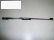 Gasdruckfeder Dämpfer hinten rechts AUDI (NSU) 100 (4A, C4) 2.8 E