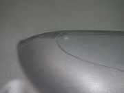 Türverkleidung hinten rechts NISSAN (DATSUN) PIXO (UA0) 1.0 8373168KA