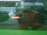 Tür hinten links ALFA ROMEO 156 Sportwagon (932_) 2.4 JTD (932.BXC00) 0060676316