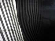 Tür links NISSAN (DATSUN) 100 NX (B13) 1.6