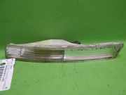 Blinkleuchte vorne links VW PASSAT Variant (3C5) 2.0 TDI 3C0953041E