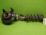 Federbein vorne links VW POLO (9N_) 1.4 16V 6Q0413031BM