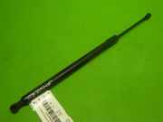 Gasdruckfeder Dämpfer hinten rechts RENAULT MODUS / GRAND MODUS (F/JP0_) 1.5 dCi (FP0F, JP0F) 8200219322