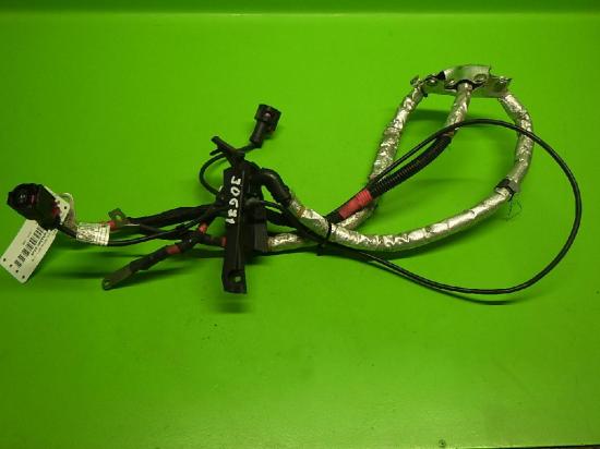 Batteriekabel plus BMW 1 (F20) 116 i 8638586 Bild Batteriekabel plus BMW 1 (F20) 116 i 8638586