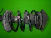 Federbein vorne links ALFA ROMEO GTV (916C_) 2.0 T.SPARK 16V (916.C2__, 916C2C00)