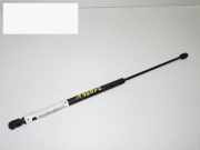 Gasdruckfeder Dämpfer vorne VW POLO (6N2) 1.0 6N0823359