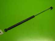 Gasdruckfeder Dämpfer hinten links HONDA CIVIC VI Hatchback (EJ, EK) 1.4 i (EJ9) 04746S03901