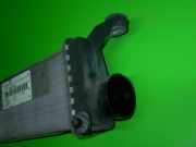 Ladeluftkühler MERCEDES-BENZ A-KLASSE (W168) A 170 CDI (168.009, 168.109) 1685000000