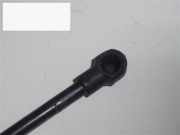 Gasdruckfeder Dämpfer vorne links FIAT FIORINO Kasten (146) 60 1.7 D