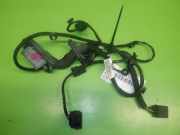 Kabelstrang Kabelbaum Tür hinten rechts OPEL ZAFIRA TOURER C (P12) 1.6 CDTI 20803914