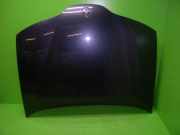 Motorhaube RENAULT LAGUNA II Grandtour (KG0/1_) 1.9 dCi (KG0G)