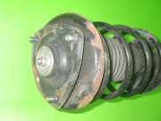 Federbein vorne rechts ROVER 200 Hatchback (RF) 214 Si