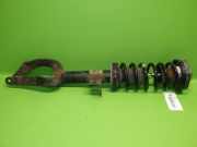 Federbein vorne links BMW 5 Touring (F11) 530 d xDrive 31316783975