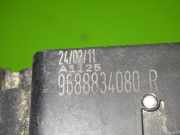 Türgriff vorne rechts außen CITROEN C4 II (B7) 2.0 HDI / BlueHDi 150 9688834080