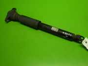 Stoßdämpfer hinten links HYUNDAI i30 Coupe 1.4 CRDi 55300-A6420