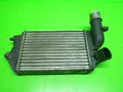 Ladeluftkühler PEUGEOT BOXER Kasten (230L) 2.5 TDI 1307012080