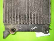 Wasserkühler FORD TRANSIT Bus (T_ _) 2.5 D (TBS, TEL, TES)