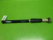 Stoßdämpfer hinten links MAZDA 2 (DY) 1.4 DSF059G