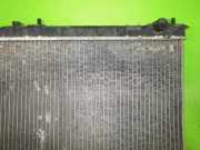 Wasserkühler NISSAN (DATSUN) SUNNY III Liftback (N14) 1.4 i