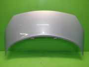 Motorhaube RENAULT SCÉNIC II (JM0/1_) 2.0 (JM05, JM0U, JM1N, JM1U, JM2V) 651001097R