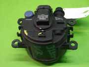 Nebelscheinwerfer rechts RENAULT SCÉNIC II (JM0/1_) 1.6 16V (JM1R) 89210094