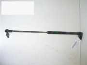 Gasdruckfeder Dämpfer hinten links DAIHATSU YRV (M2) 1.3