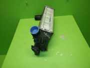 Ladeluftkühler FORD PUMA (J2K, CF7) 1.0 EcoBoost L1BG-6D624-AB