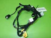 Kabelstrang Kabelbaum Tür hinten rechts KIA RIO III (UB) 1.4 CVVT 916601W010