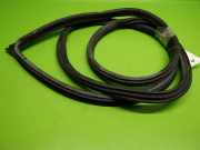 Türgummi Türdichtung vorne rechts BMW 1 (E81) 116 i