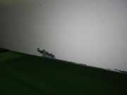 Tür rechts BMW 1 Cabriolet (E88) 120 d