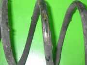 Feder vorne rechts VW POLO (86C, 80) 1.0