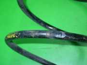 Feder vorne links FIAT PUNTO (176_) 55 1.1