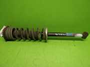 Federbein hinten links VW PASSAT Variant (3A5, 35I) 2.0 201700170338