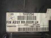 Türverkleidung hinten links NISSAN (DATSUN) NP300 NAVARA (D40) 2.5 dCi 4WD