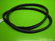 Türgummi Türdichtung hinten links JAGUAR XF (_J05_, CC9) 2.2 D