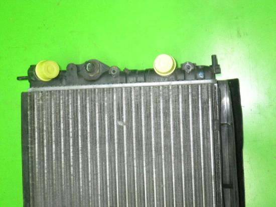 Wasserk?hler RENAULT MEGANE I Coach (DA0/1_) 2.0 i (DA0G) Bild Wasserk?hler RENAULT MEGANE I Coach (DA0/1_) 2.0 i (DA0G)