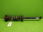 Federbein hinten links VW GOLF II (19E, 1G1) 1.8 i