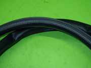 Türgummi Türdichtung hinten rechts TOYOTA PRIUS (_W5_) 1.8 Hybrid (ZVW50_, ZVW51_)