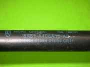 Gasdruckfeder Dämpfer hinten links FORD FIESTA VI 1.6 TDCi 8A61-A406A10-AB