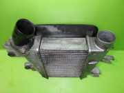 Ladeluftkühler NISSAN (DATSUN) TERRANO II (R20) 3.0 Di 4WD