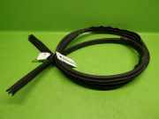 Türgummi Türdichtung vorne links FORD FOCUS II Cabriolet 2.0 1517683
