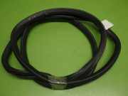 Türgummi Türdichtung vorne links AUDI (NSU) A6 Avant (4F5, C6) 2.7 TDI 4F0831721C